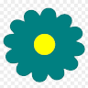 Meet your Posher, Liane